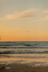 Fototapeta premium seascape during the golden hour