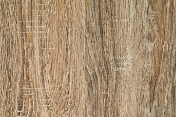 Oak Sonoma board. Texture, shape, photo.