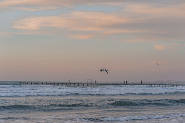 seascape during the golden hour