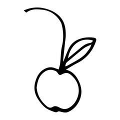 Vector image of cherries in doodle style 