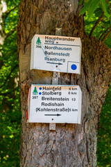 Burgruine Ebersburg harz Harztor