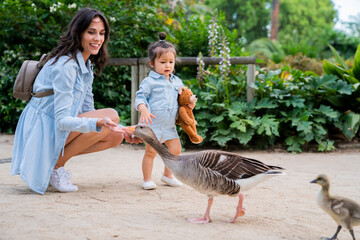 Content woman and baby feeding birds in zoo