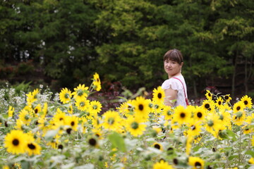 ひまわりの中で