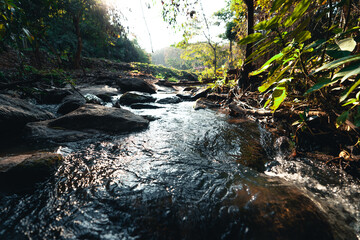 Fototapeta premium A stream of clear water in the tropical evening