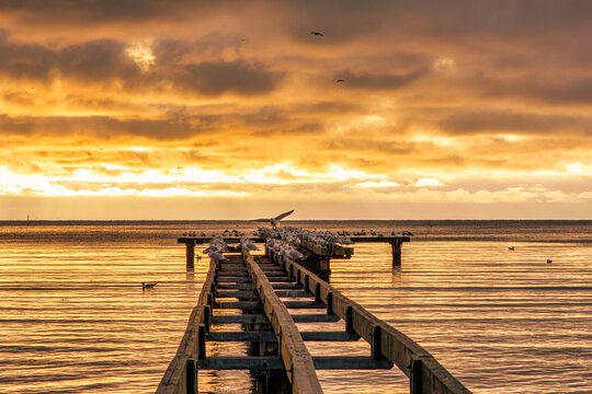 A beautiful golden sunset over an old boardwalk. Photo from Hallevik, Blekinge county, Sweden