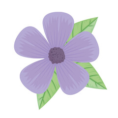 cute purple petals flower and leafs spring icon vector illustration design