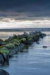 A beautiful sunset over the green boulders on a wave breaker. Photo from Hallevik, Blekinge county, Sweden