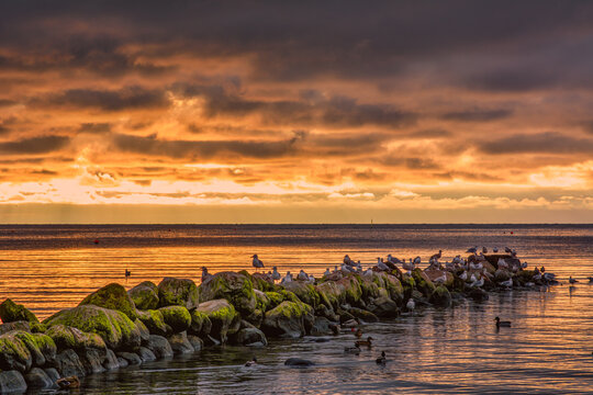 A beautiful sunset over the green boulders on a wave breaker. Photo from Hallevik, Blekinge county, Sweden