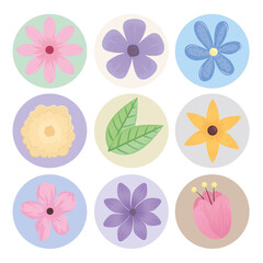bundle of nine flowers spring season icons vector illustration design
