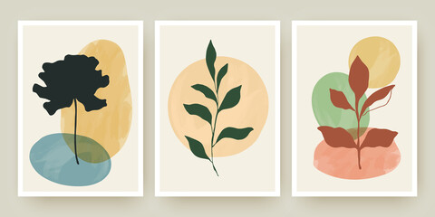 Botanical wall art posters vector templates set