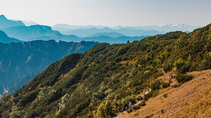 Obraz premium Beautiful alpine summer view at the famous Hochfelln summit, Bergen, Bavaria, Germany