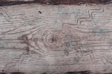 Turquoise wood texture background, top view wooden board