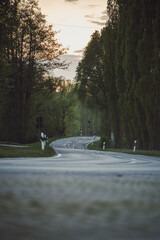 low level photo of a street between trees
