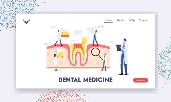 Teeth Anatomy and Structure Landing Page Template. Tiny Dentists Characters at Huge Tooth Infographics with Gum, Bone
