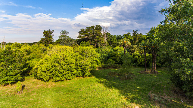El Bosque, Parque Pereyra, Florencio Varela, Buenos Aires, Argentina