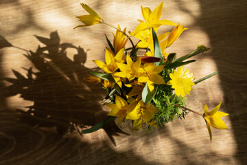 Spring steppe flowers in the rays of sunset light