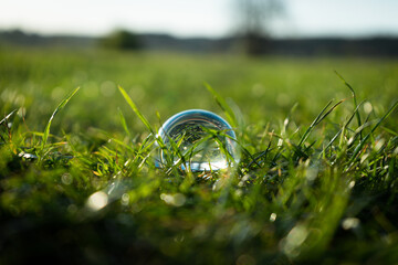 crystal ball on green grass