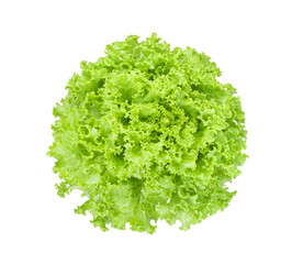 fresh green lettuce salad leaves isolated on white background