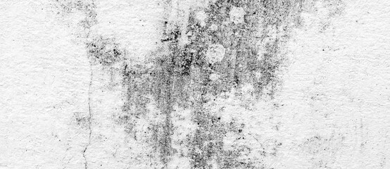 Textured of concrete surface wall and white background