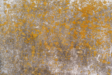 ひび割れて苔の生えたコンクリートの壁　テクスチャ