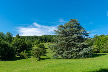 Fototapeta na wymiar Landscape with the park at Hungerberg in Baden-Baden