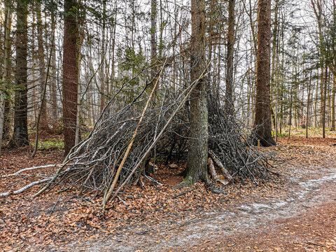 Abenteuerliche selbstgebaute Holzh&uuml;tte im Wald 