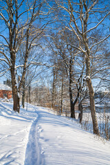 Fototapeta na wymiar View of The Pumpviken park in winter, path in the snow and trees, Karjaa, Raseborg, Finland