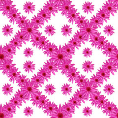 Seamless pattern, Many pink lotus flowers, They are arranged in a row on a white background.