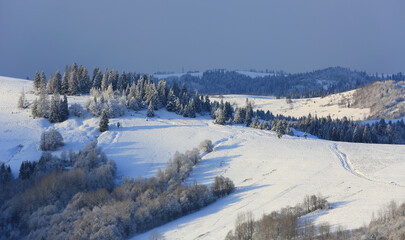 Fototapeta na wymiar winter in Carpathian mountains