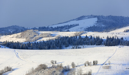 mountain meadow in winter Carpathians