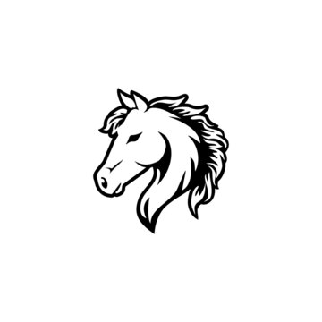 Vector mascot, cartoon of horse, 
Vector illustration icons and logo design elements - horse vector