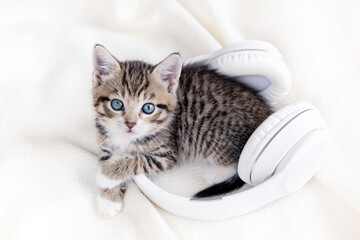 Little striped Cat Kitten with Headphones on white bed. Musical pets concept.