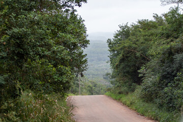 Camino
