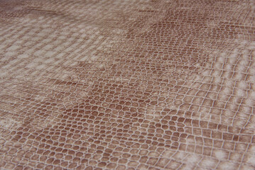 Obraz premium brown Leather crocodile skin background texture close-up