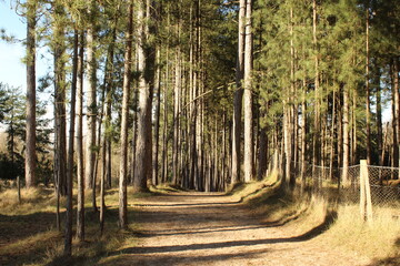 Obraz premium baie de somme randonnée des crocs à marquenterre france au nord a deux heures de paris