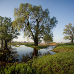 Spring landscape with an overflowing river. Spring flood