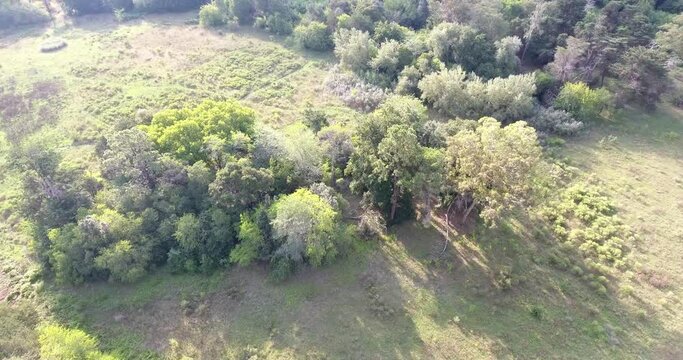 El bosque de Florencio Varela, Buenos Aires Argentina en su mas hermoso esplendor. Vista a&eacute;rea en 4K