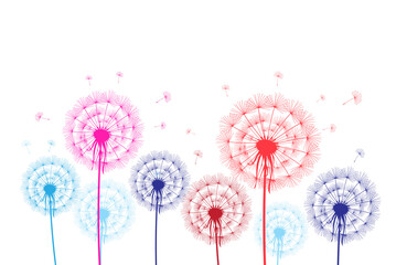 Colorful graphic dandelions on a white background
