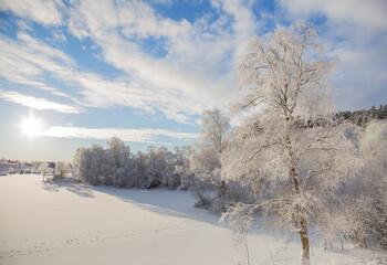 Beautiful  landscape with frozen trees  in winter time 