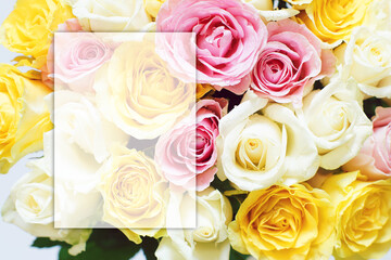 Translucent frame for text on a background with beautiful flowers of roses