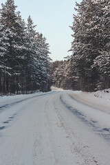 Obraz premium winter road in the forest