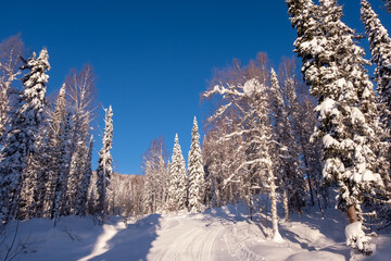 Siberian view, winter morning