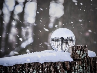 snow covered tree glass ball