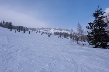 Siberian view, winter morning