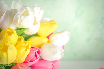 Obraz na płótnie Canvas Spring tulip flowers background. White, yellow, pink, red tulip bouquet on light green spring grass background with bokeh effect, banner mock up format