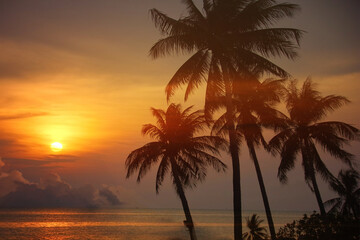 coconut trees with sun set or sun rise sea view  multicolor beauty sky