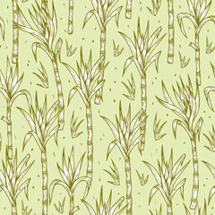 Hand Drawn Sugarcane Plants Vector Seamless Pattern. Sugar cane stalks with leaves endless background.

