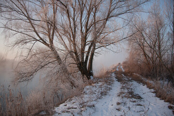 Spring landscape with a river covered with fog, melting snow on the river bank, trees