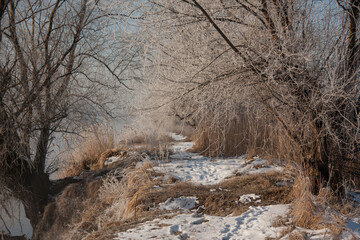 Spring landscape with a river covered with fog, melting snow on the river bank, trees