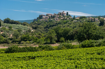 Weinberge in der Provence